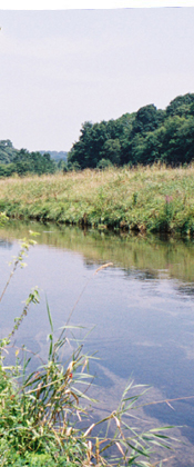 stream in Allegheny County