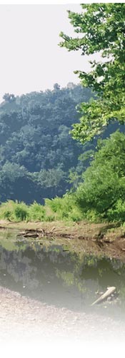 stream mouth allegheny county