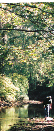 Person in a stream Allegheny County