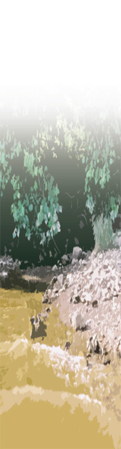 stream mouth allegheny county